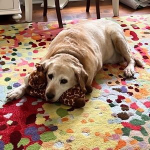 Meet your Posher, Ava ryann